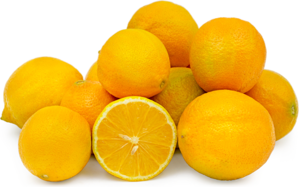 Golden Lemon Hybrid,