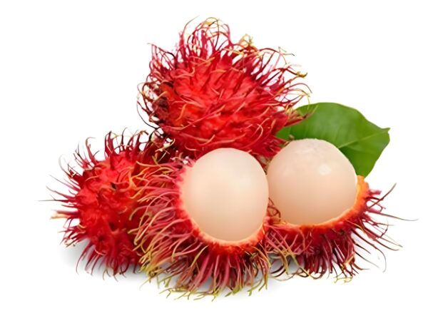 Rambhutan Fruit Plant