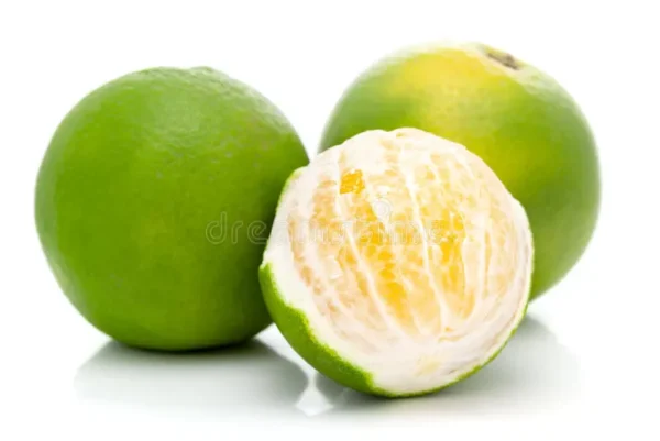 Mausambi Fruit Plant Grafted