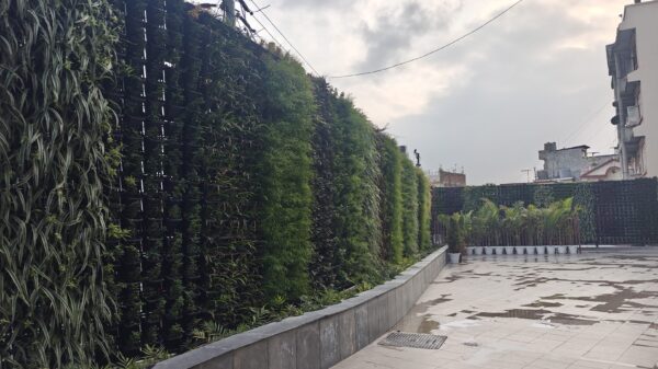 Trinity International College, Kathmandu