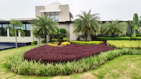 Tiger Palace Resort, Bhairahawa